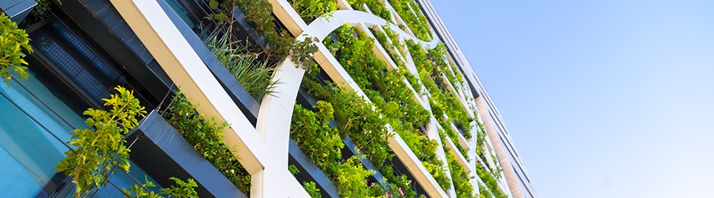 Partial view of building with plants 