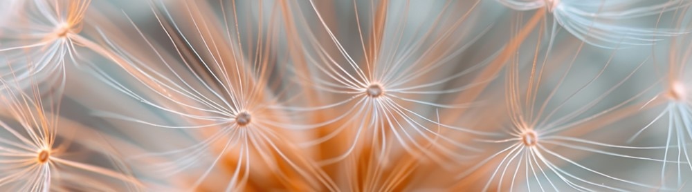 close-up-plant-narrow-image