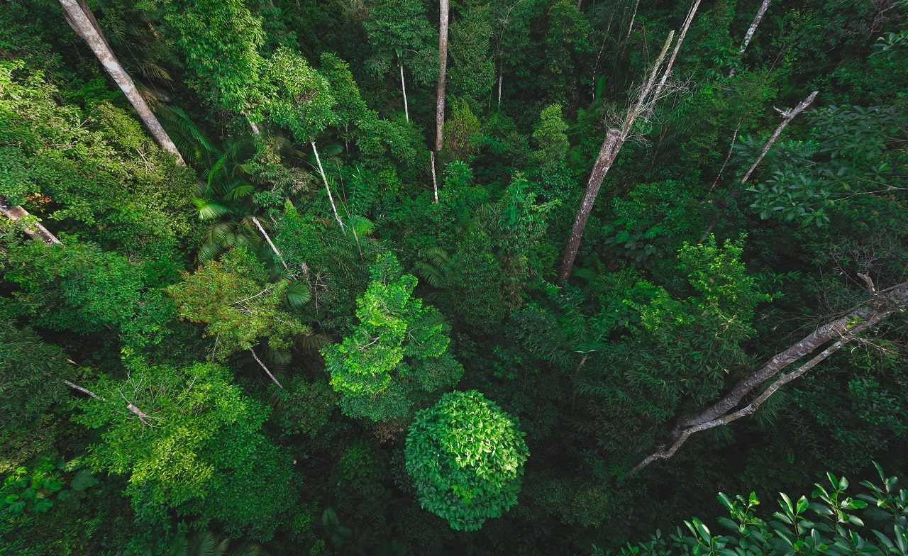 Sustainability & ESG Sustainability & ESG