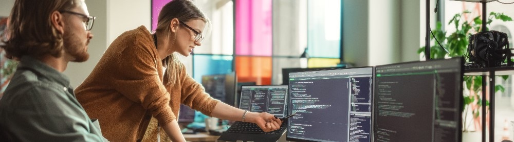 consultant pointing the screen