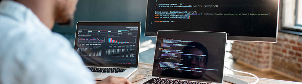 Software engineer coding on multiple screens - Application Services