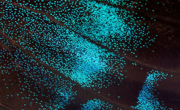AI-generated image of glowing blue particles on a dark background, symbolizing digital innovation in the energy transition