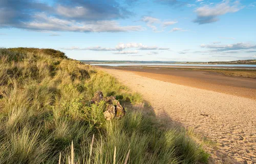 Braunton Burrows beach and sand dunes North Devon UNESCO Biosphere reserve 