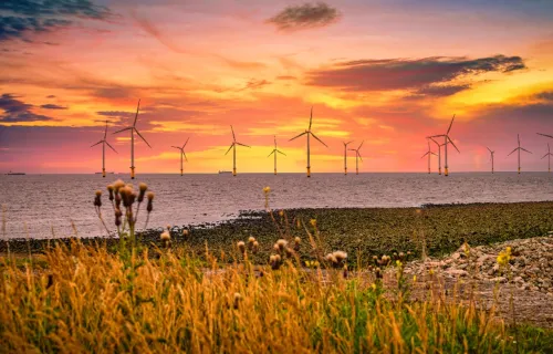 Off-shore wind farm at sunset